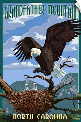 Eagle and Chicks, Grandfather Mountain, North Carolina