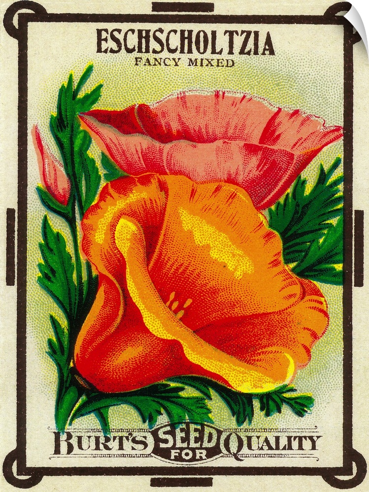 A vintage label from a seed packet for California Poppies.
