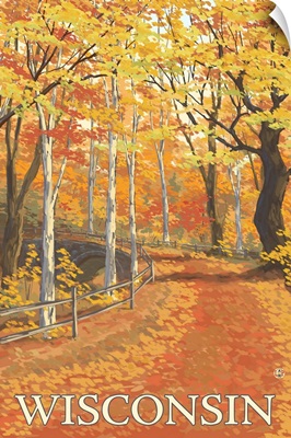 Fall Colors Scene, Wisconsin