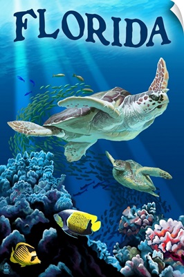 Florida, Sea Turtles