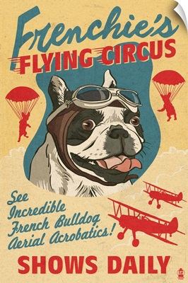 French Bulldog, Retro Flying Circus Ad
