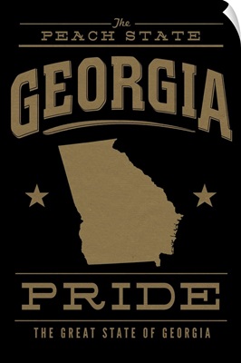 Georgia State Pride