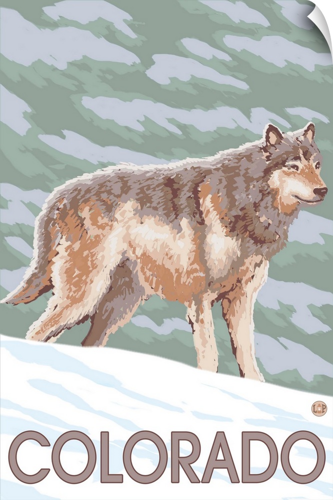 Gray Wolf Standing - Colorado: Retro Travel Poster