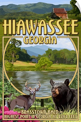 Hiawassee, Georgia - Montage Scenes: Retro Travel Poster