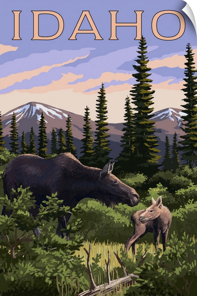 Idaho, Moose and Baby Calf