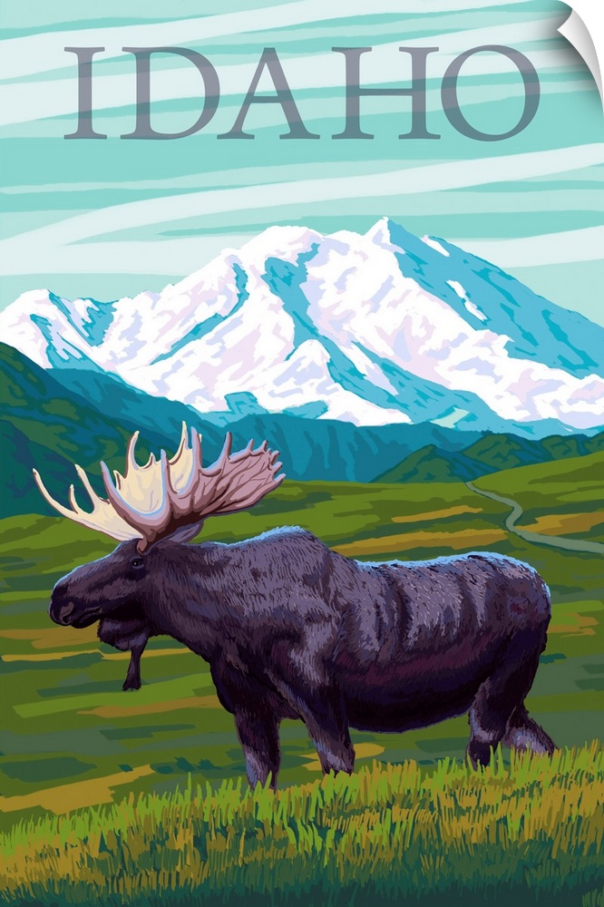 Idaho, Moose and Mountain