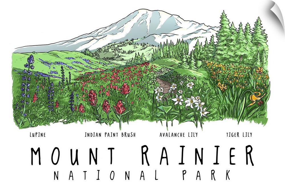 Mount Rainier National Park, Washington - Wildflower Montage