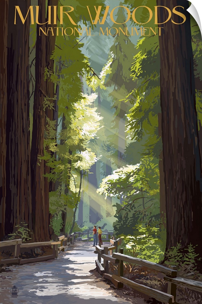 Muir Woods National Monument, California - Pathway: Retro Travel Poster