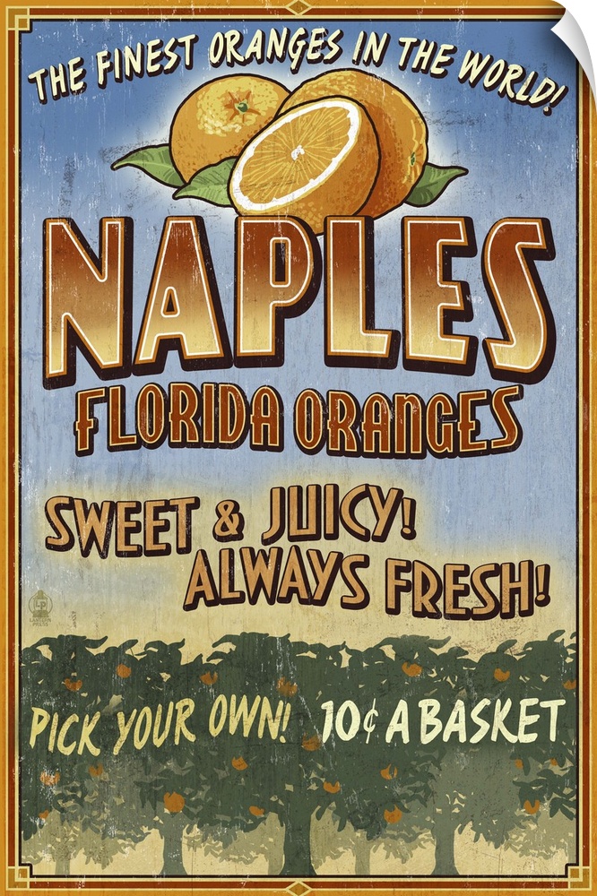 Naples, Florida - Orange Grove Vintage Sign: Retro Travel Poster