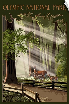 Olympic National Park, Deer And Fawns: Retro Travel Poster