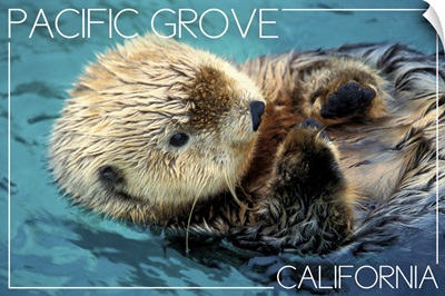 Pacific Grove, California, Sea Otter
