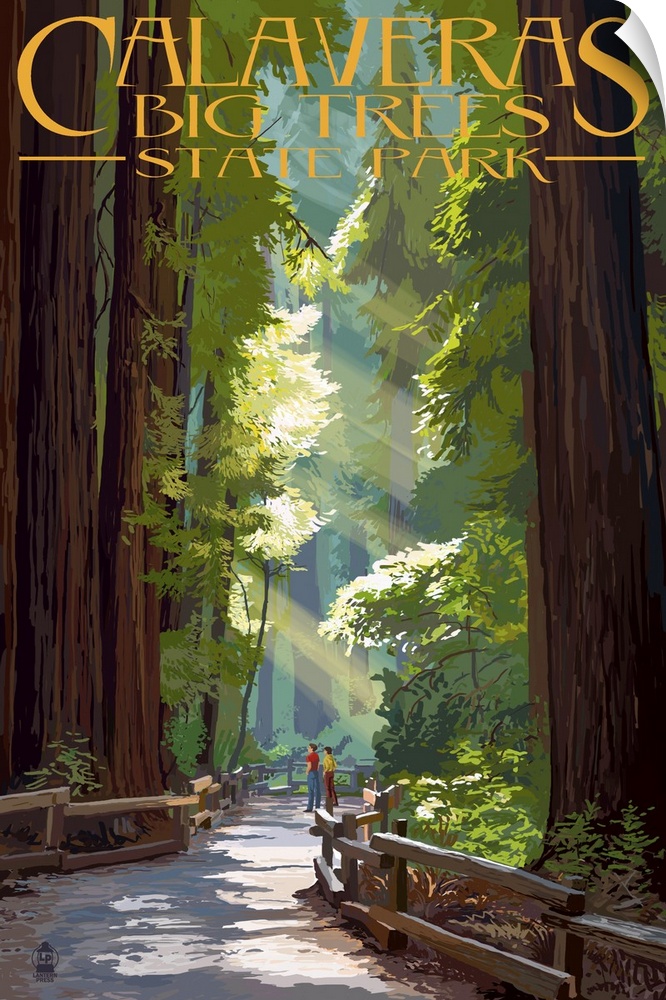 Pathway In Trees, Calaveras Big Trees State Park, California