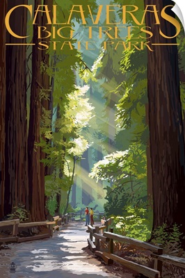 Pathway In Trees, Calaveras Big Trees State Park, California