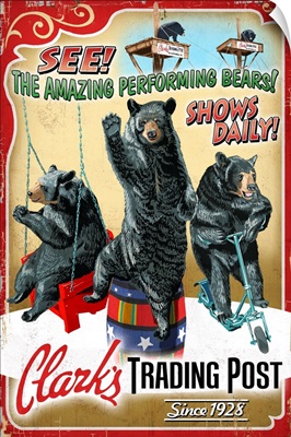 Performing Bears, Clark's Trading Post, Lincoln, New Hampshire