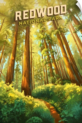 Redwood National Park, Forest: Retro Travel Poster