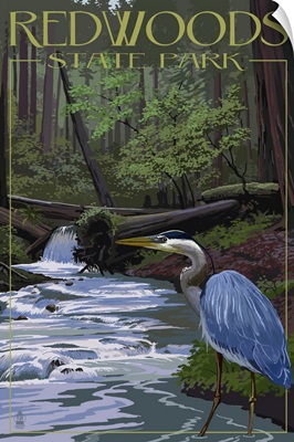 Redwoods State Park - Heron and Waterfall: Retro Travel Poster