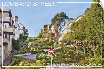 San Francisco, California - Lombard Street