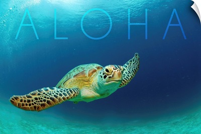 Sea Turtle Swimming - Aloha