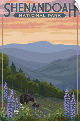 Shenandoah National Park, Virginia - Black Bear and Cubs: Retro Travel Poster
