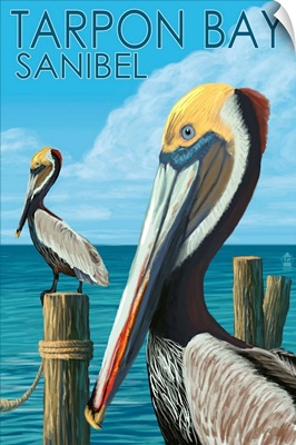 Tarpon Bay, Florida, Brown Pelicans, Lantern Press Original Poster