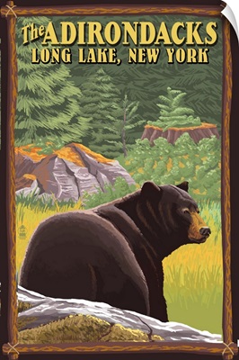 The Adirondacks, Long Lake, New York State, Black Bear in Forest