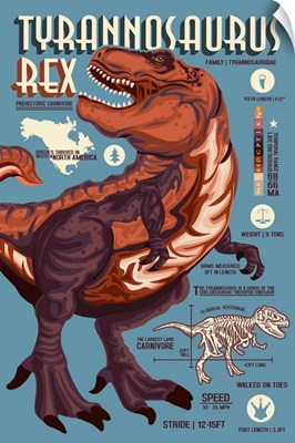 Tyrannosaurus - Dinosaur Infographic