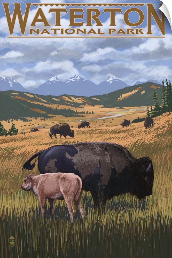 Retro stylized art poster of a mother bison and calf grazing on wide open plains.