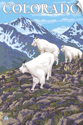 White Mountain Goat Family - Colorado: Retro Travel Poster