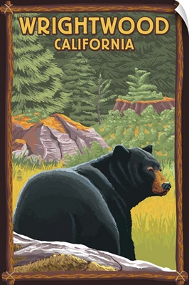 Wrightwood, California, Black Bear in Forest