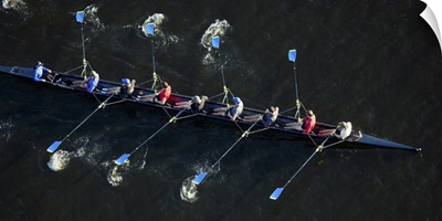 Competitors Practicing For The Annual HOCR Regatta, Boston - Aerial Photograph