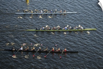 Competitors Practicing For The Annual HOCR Regatta, Boston - Aerial Photograph