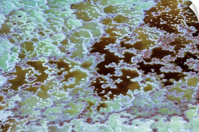 Halophiles Phenomena, Dead Sea - Aerial Photograph