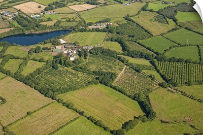 Loughgall Orchards, Armagh, Northern Ireland - Aerial Photograph