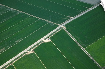 Rice Fields, Ebro Delta, Spain - Aerial Photograph