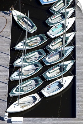 Sailing Boats In Charles River, Boston, MA, USA - Aerial Photograph