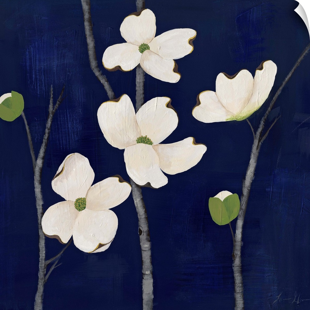 Contemporary painting of dogwood flowers against a dark blue background.