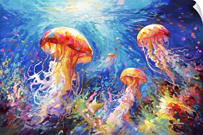 Jellyfish Serenade