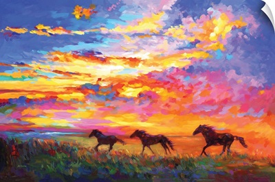 Wild Horses Running At Sunset