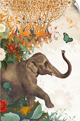 Elephant With Butterfly