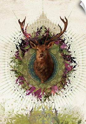 Stag Cropped