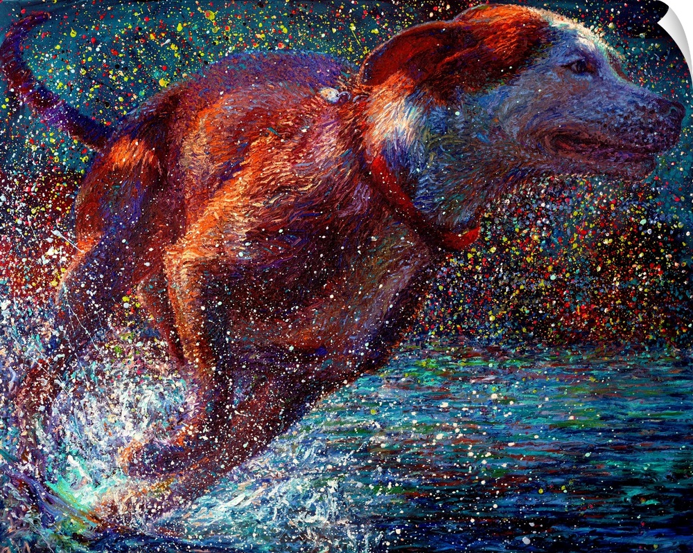 Brightly colored contemporary artwork of a dog running through water.