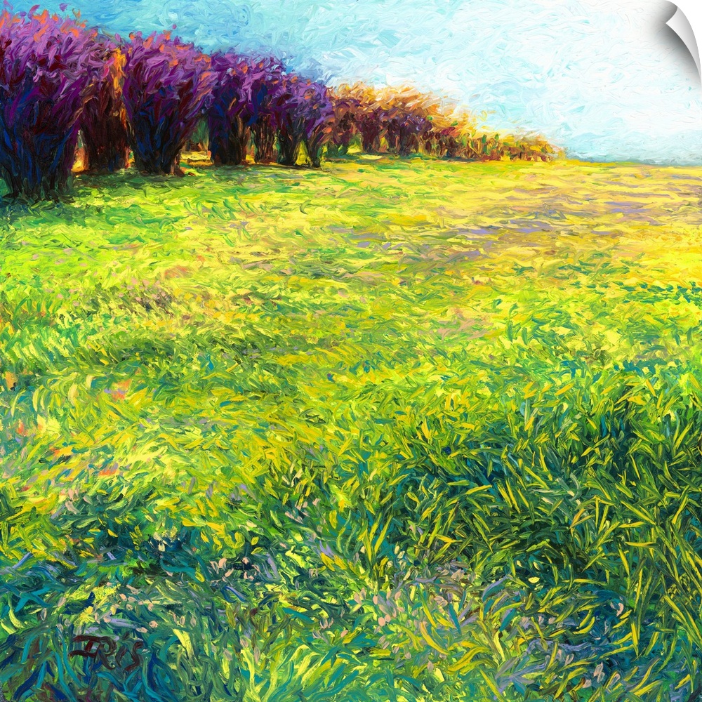 Brightly colored contemporary artwork of a landscape with aspen trees.