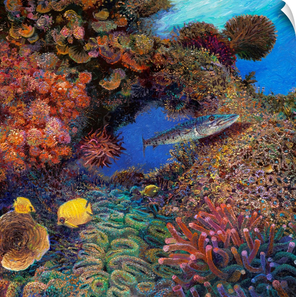 Brightly colored contemporary artwork of a barracuda swimming through coral.