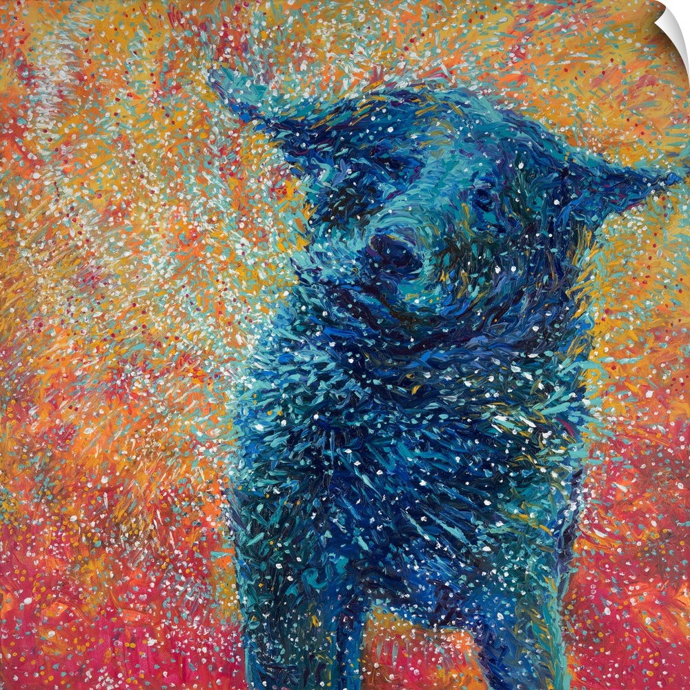 Brightly colored contemporary artwork of a big dog shaking off water.