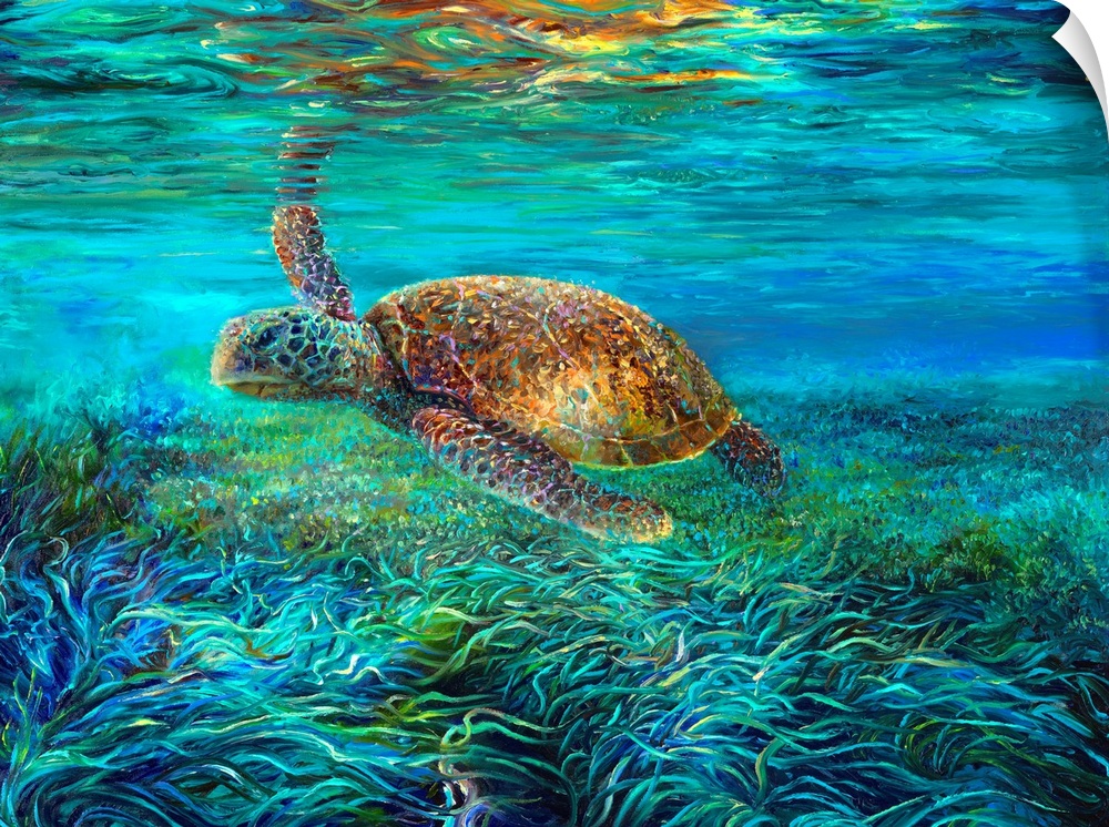 Brightly colored contemporary artwork of a turtle swimming in the ocean.