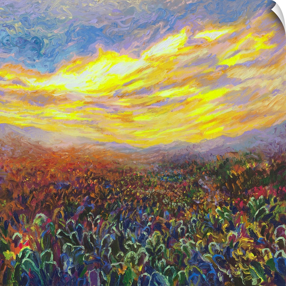 Brightly colored contemporary artwork of a field of cacti at sunrise.