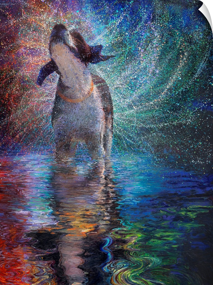 Brightly colored contemporary artwork of a dog shaking off water with reflection.