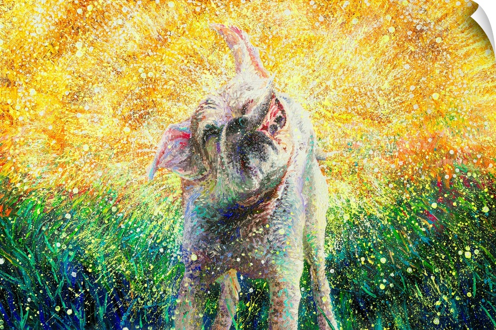 Brightly colored contemporary artwork of a small dog shaking off water.