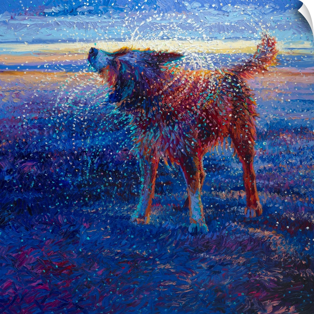 Brightly colored contemporary artwork of a dog shaking off water in a field.