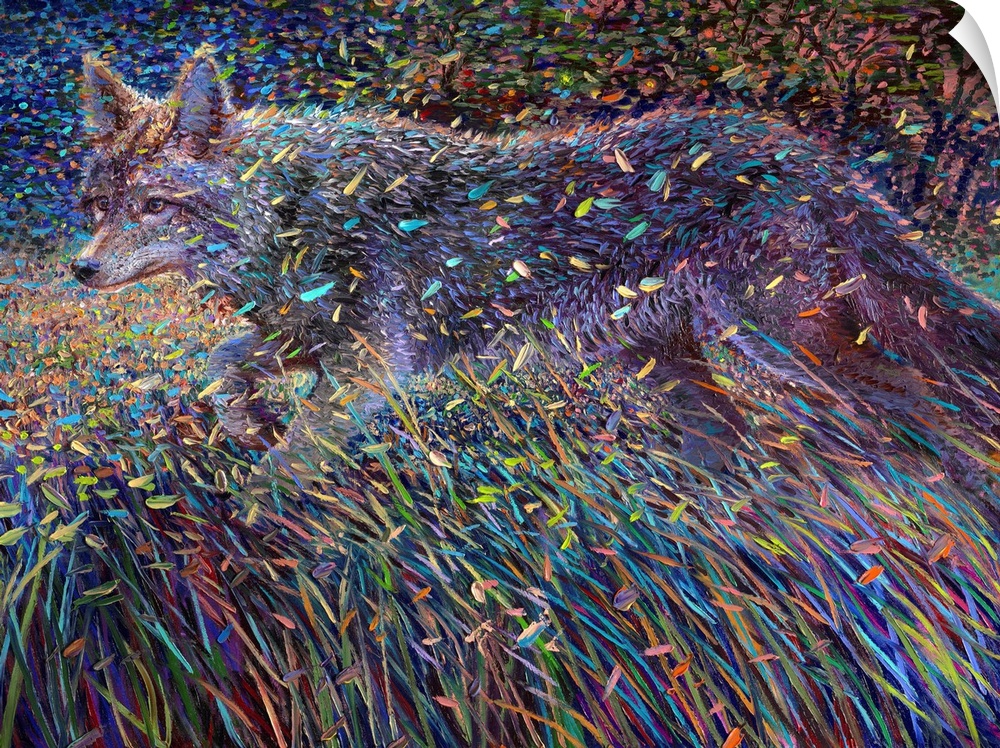 Brightly colored contemporary artwork of a coyote in a field.
